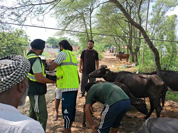 2025_Panjab_Floods_seva_medical_1_aid_distribution_khalsa.jpg